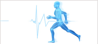 Physiology and Fitness - DVD, digital video course course image