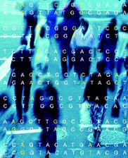 Race and Science course image