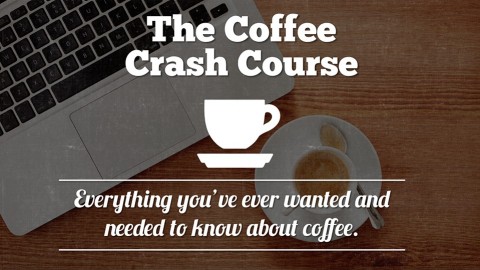 Become a Coffee Expert course image