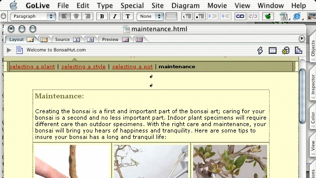 Learning GoLive 6 course image