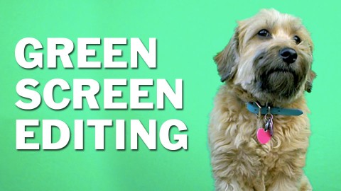 Green Screen Editing: Premiere Pro, Final Cut, After Effects course image