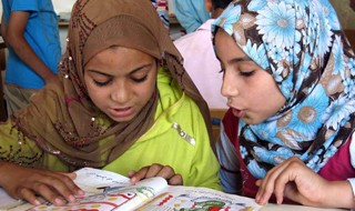 Introduction to International Development Planning course image
