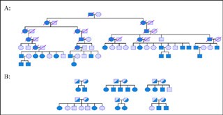 Molecular Biology and Genetics in Modern Medicine course image