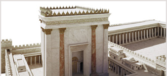 The World of Biblical Israel - DVD, digital video course course image