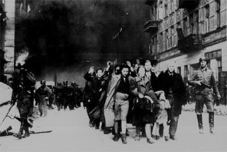 Nazi Germany and the Holocaust course image