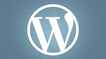 A Beginner’s Guide to Using WordPress