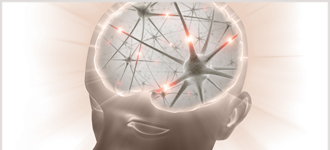 The Spiritual Brain: Science and Religious Experience - DVD, digital video course course image