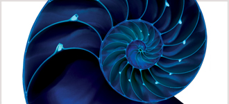 Joy of Science - CD, digital audio course course image