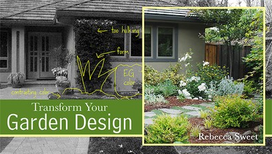 Transform Your Garden Design course image