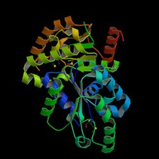 Chemistry of Biomolecules I course image