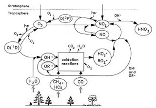 Chemicals in the Environment: Fate and Transport course image