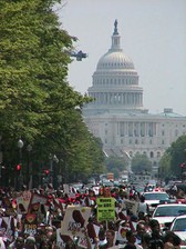 Forms of Political Participation: Old and New course image