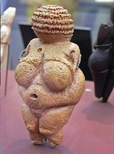 Human Origins and Evolution course image