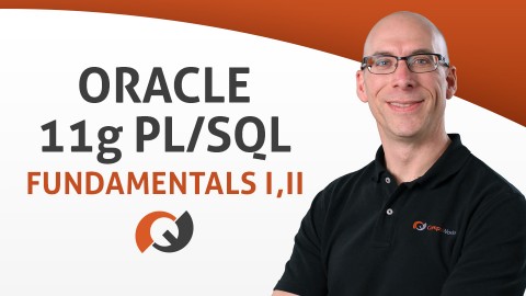Oracle PL/SQL Fundamentals vol. I & II course image