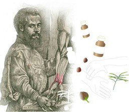 Culture, Embodiment and the Senses course image