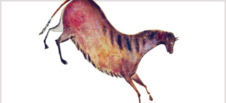 Biological Anthropology: An Evolutionary Perspective - DVD, digital video course course image