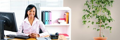 Intermediate QuickBooks 2012 course image