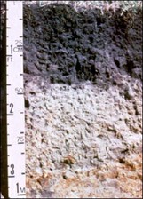 Soil Behavior course image