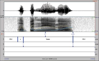 Transcribing Prosodic Structure of Spoken Utterances with ToBI course image