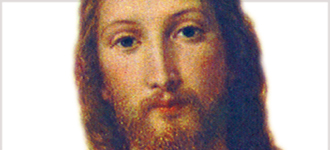 New Testament - DVD, digital video course course image