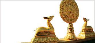 Meaning of Life: Perspectives from the World's Great Intellectual Traditions - CD, digital audio course course image
