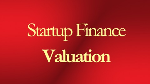The Art Of Financial Valuation With Certificate course image