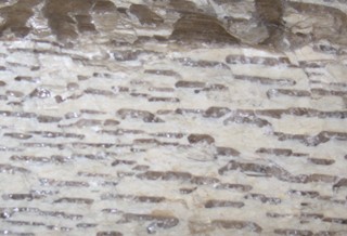 Petrology course image