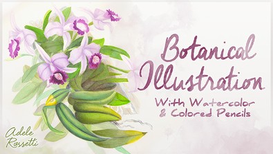 Botanical Illustration: With Watercolor & Colored Pencils course image