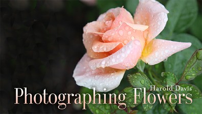 Photographing Flowers course image