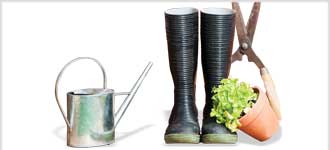 How to Grow Anything: Your Best Garden and Landscape in 6 Lessons - DVD, digital video course course image