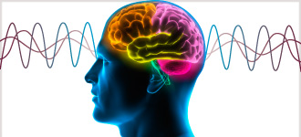 Optimizing Brain Fitness - DVD, digital video course course image