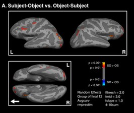 Language and Mind course image