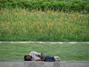 Moral Problems and the Good Life course image
