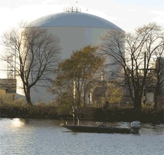 Environmental Struggles course image
