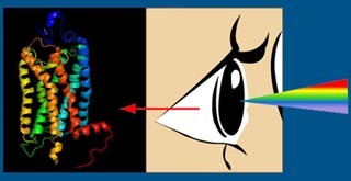 Cell-material Crosstalk: Engineering Cell-Instructive Biomaterials course image