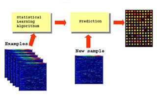 Networks for Learning: Regression and Classification course image