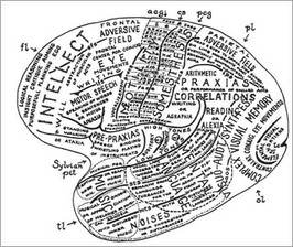 Neuroscience and Society course image