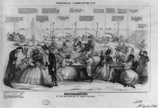 Classification, Natural Kinds, and Conceptual Change: Race as a Case Study course image