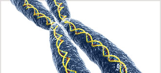 Science of Self - DVD, digital video course course image