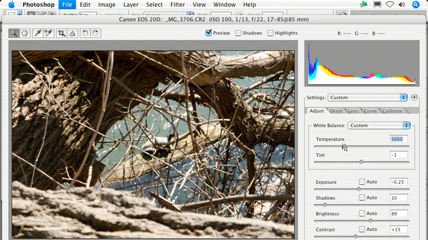 Photoshop CS2 FAQs course image