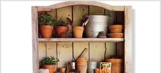 How to Grow Anything: Container Gardening Tips & Techniques - DVD, digital video course course image