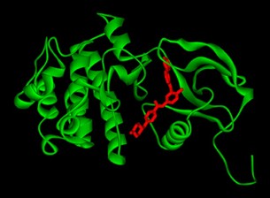 Bench to Bedside: Molecularly Targeted Therapies in Blood Disorders and Malignancy course image