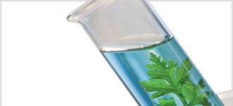 Biology: The Science of Life - CD, digital audio course course image