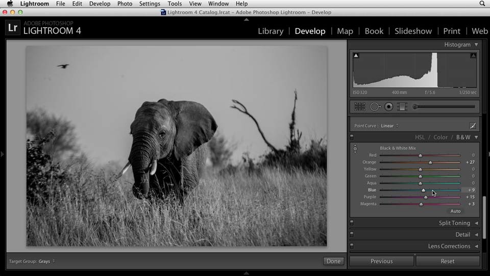 Black and White with Lightroom and Photoshop course image