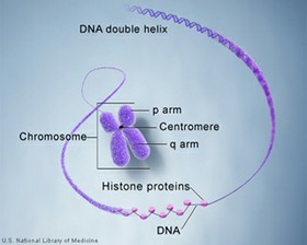 Genetics course image