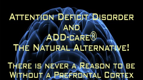 Learn about Attention Deficit Disorder course image