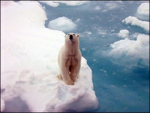 Global Warming Science course image