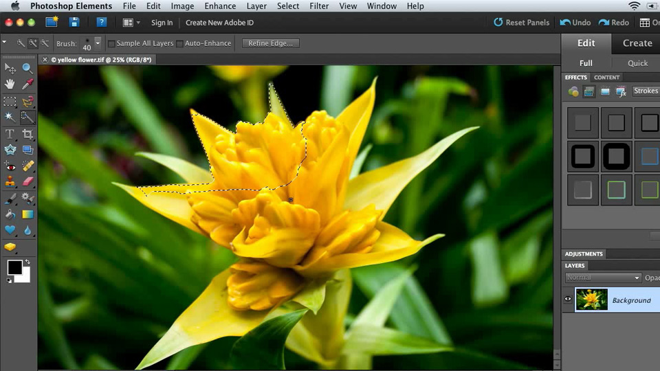 Combining Images with Photoshop Elements 9 course image