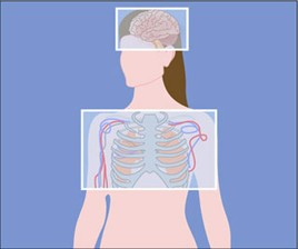 Genomics, Computing, Economics, and Society course image