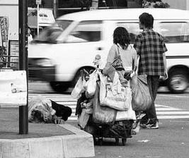 Urban Sociology in Theory and Practice course image